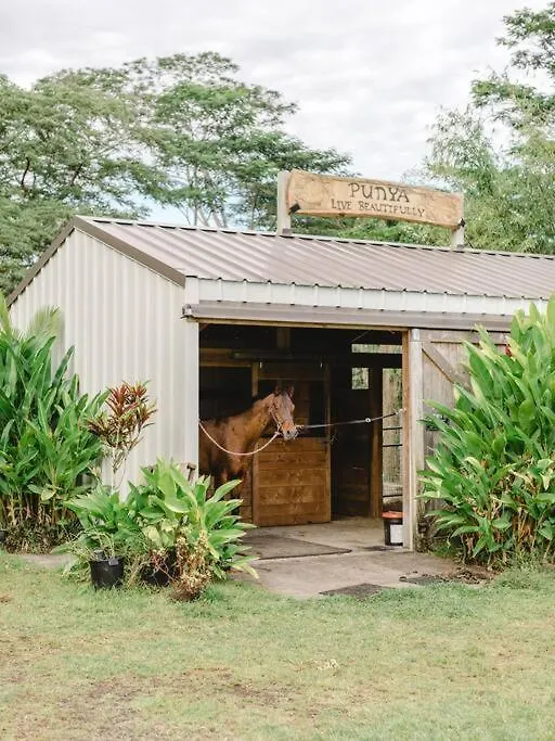 Mala O Kilauea Nature Retreat Pahoa Villa
