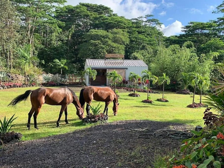 Mala O Kilauea Nature Retreat Pahoa